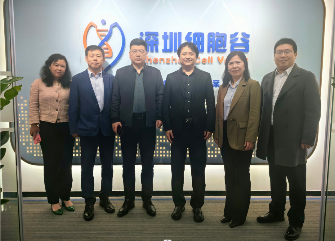 河南科技大學第二附屬醫(yī)院院長邢建武、副院長王慧睿一行蒞臨深圳細胞谷交流訪問