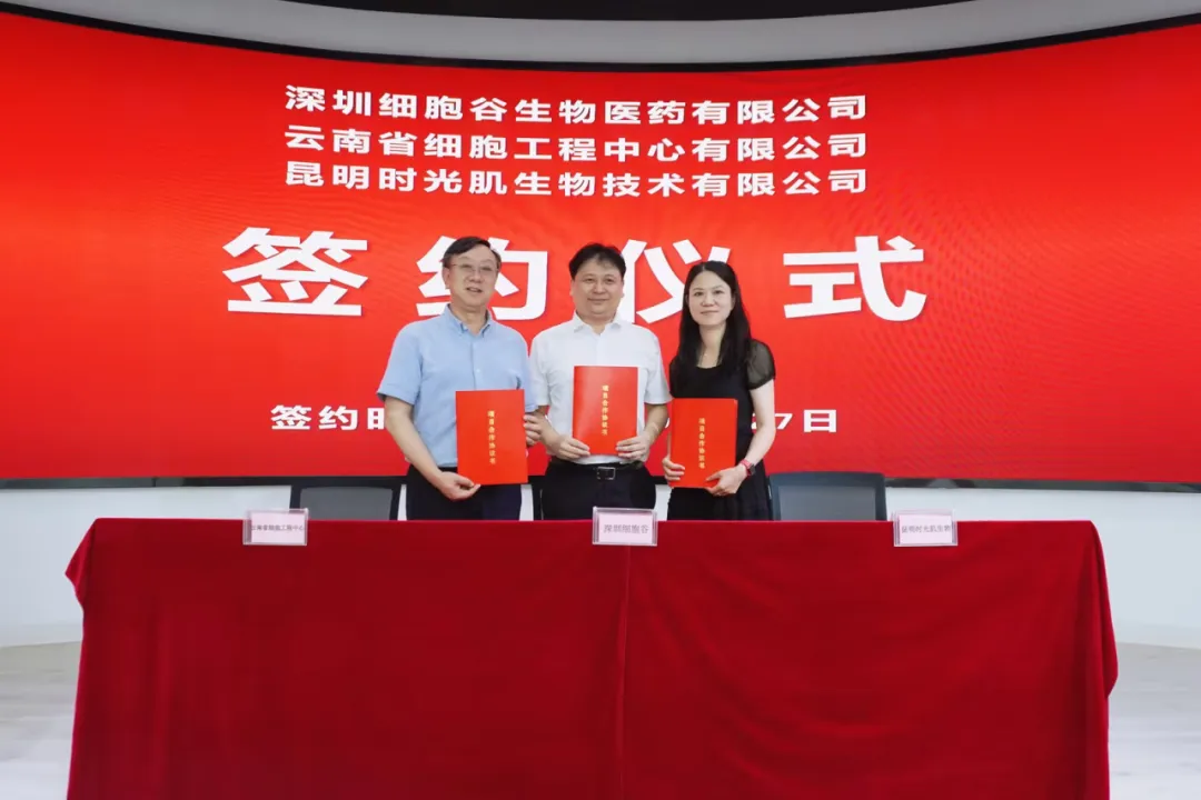 深圳細(xì)胞谷生物醫(yī)藥有限公司、云南省細(xì)胞工程中心有限公司及昆明時光肌生物技術(shù)有限公司達(dá)成戰(zhàn)略合作
