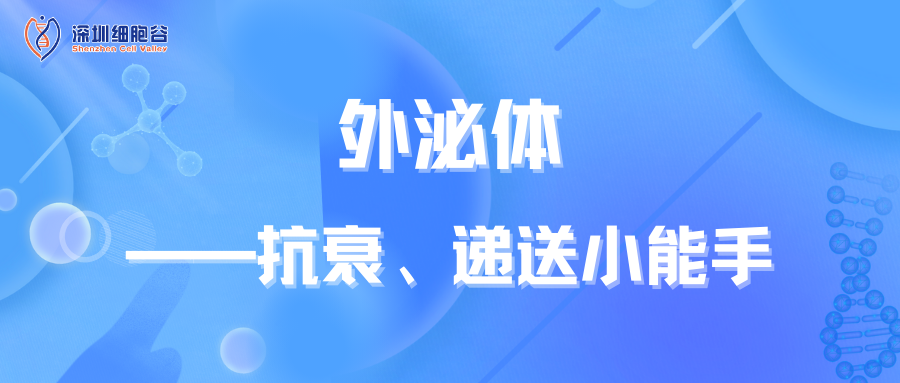 外泌體——抗衰、遞送小能手